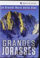 Grandes Jorasses. Le Grandi Nord delle Alpi