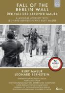 Fall Of The Berlin Wall (6 Dvd)