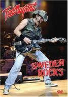 Ted Nugent - Sweden Rocks