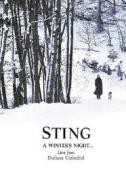 Sting. A Winter's Night... Live From Durham Cathedral (2 Dvd)
