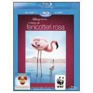 Il mistero dei fenicotteri rosa (Blu-ray)