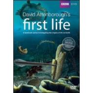 First Life. L'origine della vita (2 Dvd)