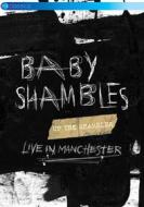 Babyshambles. Up The Shambles. Live In Manchester
