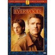 Everwood. Stagione 1 (6 Dvd)