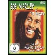 Bob Marley and the Wailers. Live at Harvard Stadium, Boston 1979