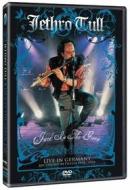 Jethro Tull - Jack In The Green: Live In Germany