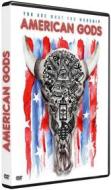 American Gods - Stagione 01 (4 Dvd)
