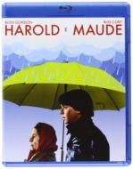 Harold e Maude (Blu-ray)