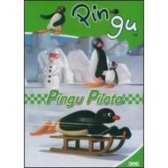 Pingu. Pingu pilota