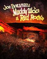 Joe Bonamassa - Muddy Wolf At Red Rocks (Blu-ray)