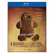 Hansel e Gretel e la strega della foresta nera (Blu-ray)