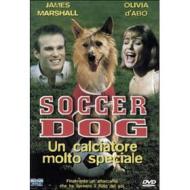 Soccer Dog