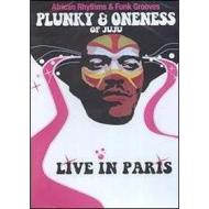 Plunky & Oneness of Juju. Live in Paris