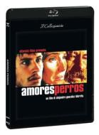 Amores Perros (Blu-Ray+Dvd) (2 Blu-ray)