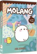 Molang - Molang Nel Bosco