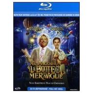 Mr. Magorium e la bottega delle meraviglie (Blu-ray)