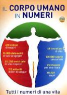 Il corpo umano in numeri (2 Dvd)
