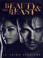 Beauty & the Beast. Stagione 1 (6 Dvd)