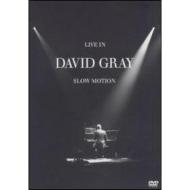 David Gray. Live In Slow Motion