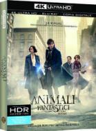 Animali Fantastici E Dove Trovarli (4K Ultra Hd+Blu-Ray) (2 Blu-ray)