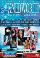 Live At Knebworth 1990 (2 Dvd)