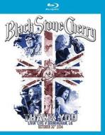Black Stone Cherry. Thank You. Livin' Live Birmingham UK (Blu-ray)