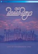 Teh Beach Boys. Live at Knebworth 1980