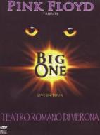 Pink Floyd Tribute - Live In Tour - Teatro Romano di Verona