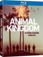 Animal Kingdom - Stagione 01 (2 Blu-Ray) (Blu-ray)