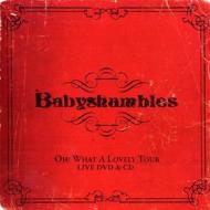 Babyshambles - Oh What A Lovely Tour (2 Dvd)