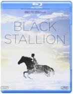 Black Stallion (Blu-ray)