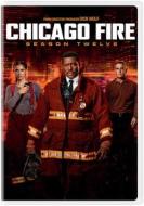 Chicago Fire: Season Twelve (3 Dvd) [Edizione : Stati Uniti]