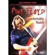 Pink Floyd. Comfortably Numb