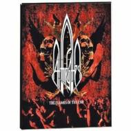 At the Gates. The Flames of the End (3 Dvd)