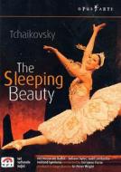 Piotr Ilyich Tchaikovsky. Sleeping Beauty. La bella addormentata nel bosco (2 Dvd)