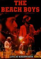 The Beach Boys. Live A Knebworth 1980