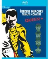 Freddie Mercury Tribute Concert / Various - Freddie Mercury Tribute Concert / Various (Blu-ray)