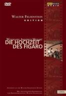 Wolfgang Amadeus Mozart. Le nozze di Figaro. Die Hochzeit Des Figaro (2 Dvd)