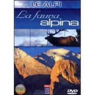 Le Alpi. La fauna alpina