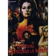 Barrio Gotico (Cofanetto 3 dvd)
