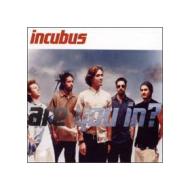 Incubus. Are You In?