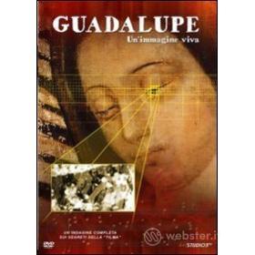 Guadalupe. Un'immagine viva