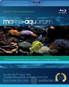 Marine Aquarium (Blu-ray)