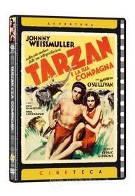 Tarzan E La Sua Compagna