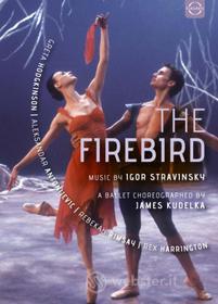 Igor Stravinsky. The Firebird. L'uccello di fuoco