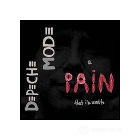 Depeche Mode. A pain that I'm used to