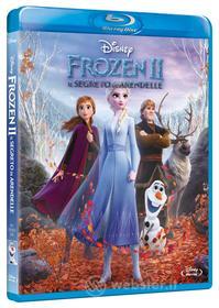 Frozen 2 - Il Segreto Di Arendelle (Blu-ray)
