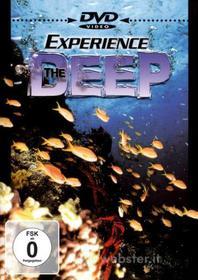 Deep Experience