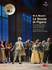 Wolfgang Amadeus Mozart. Le nozze di Figaro K 492 (2 Dvd)