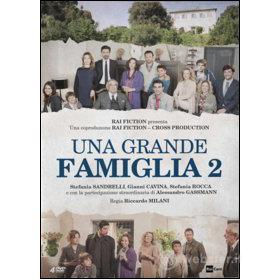 Una grande famiglia. Stagione 2 (4 Dvd)